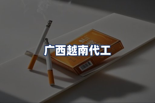广西越南代工